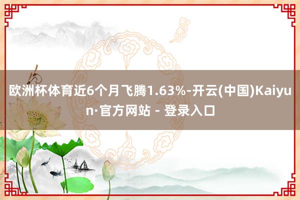 欧洲杯体育近6个月飞腾1.63%-开云(中国)Kaiyun·官方网站 - 登录入口