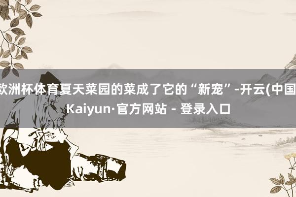 欧洲杯体育夏天菜园的菜成了它的“新宠”-开云(中国)Kaiyun·官方网站 - 登录入口