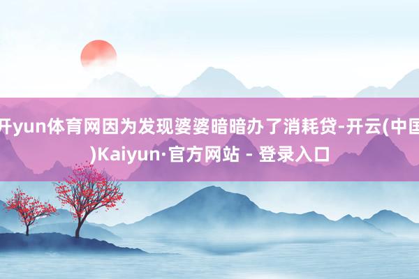开yun体育网因为发现婆婆暗暗办了消耗贷-开云(中国)Kaiyun·官方网站 - 登录入口
