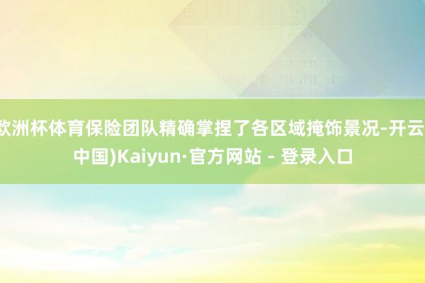 欧洲杯体育保险团队精确掌捏了各区域掩饰景况-开云(中国)Kaiyun·官方网站 - 登录入口