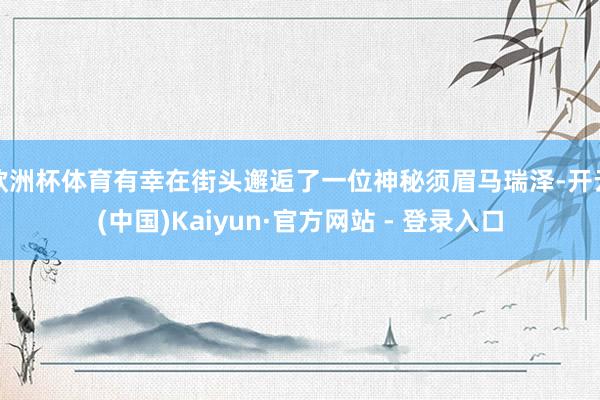 欧洲杯体育有幸在街头邂逅了一位神秘须眉马瑞泽-开云(中国)Kaiyun·官方网站 - 登录入口