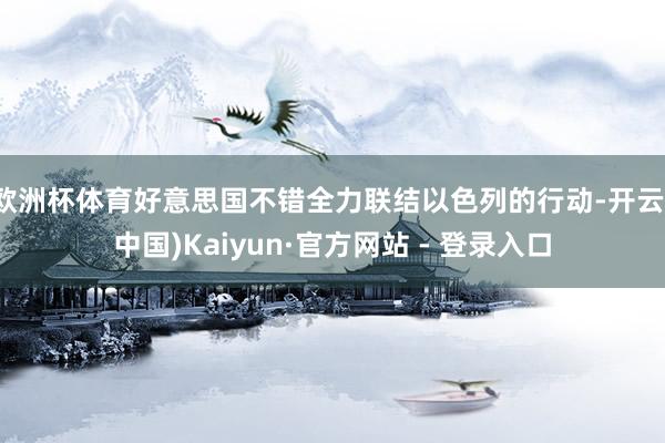 欧洲杯体育好意思国不错全力联结以色列的行动-开云(中国)Kaiyun·官方网站 - 登录入口
