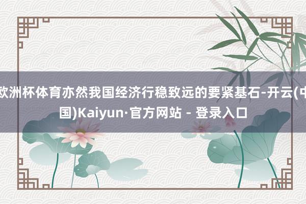 欧洲杯体育亦然我国经济行稳致远的要紧基石-开云(中国)Kaiyun·官方网站 - 登录入口