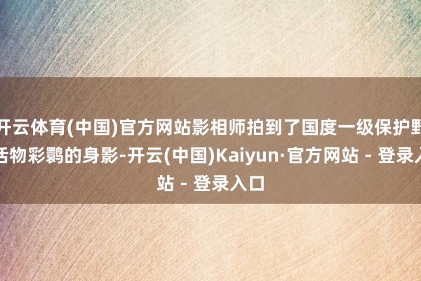 开云体育(中国)官方网站影相师拍到了国度一级保护野灵活物彩鹮的身影-开云(中国)Kaiyun·官方网站 - 登录入口