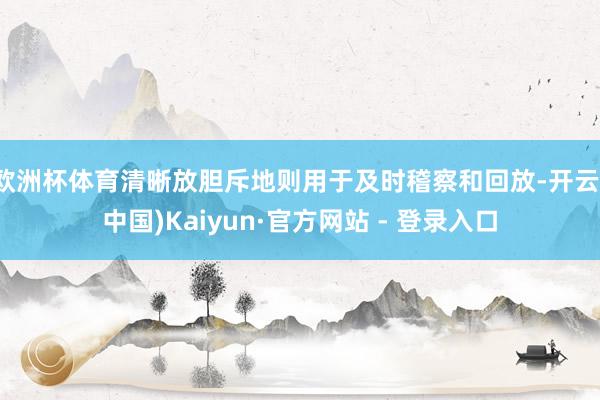 欧洲杯体育清晰放胆斥地则用于及时稽察和回放-开云(中国)Kaiyun·官方网站 - 登录入口