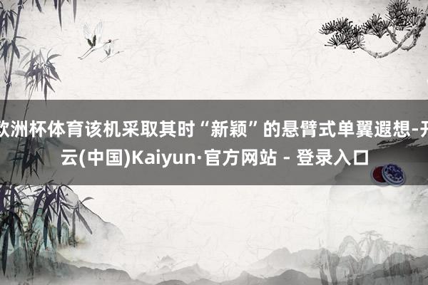 欧洲杯体育该机采取其时“新颖”的悬臂式单翼遐想-开云(中国)Kaiyun·官方网站 - 登录入口