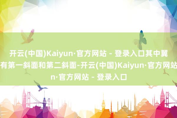 开云(中国)Kaiyun·官方网站 - 登录入口其中翼板的下端具有第一斜面和第二斜面-开云(中国)Kaiyun·官方网站 - 登录入口